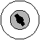 LDRI